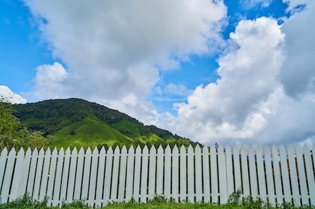 铁丝网围栏(铁丝网围栏：严防护栏还是创造美景？)