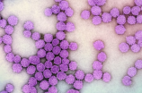 HPV最可怕的五个型号，真的了解吗？